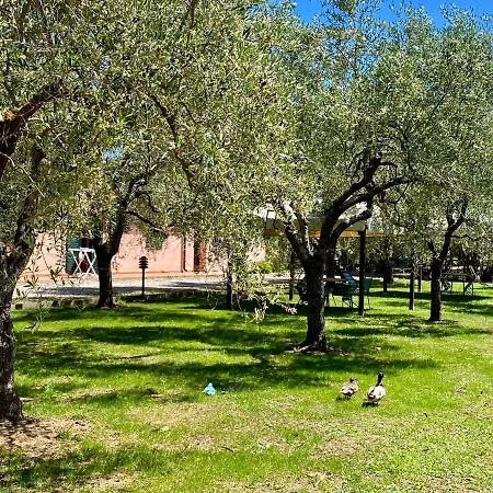 Terme Isola D'elba Srl Apartmanhotel